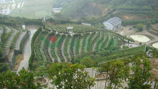 首页 | J9集团有限公司官网