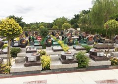 上；懔靶腔鹎