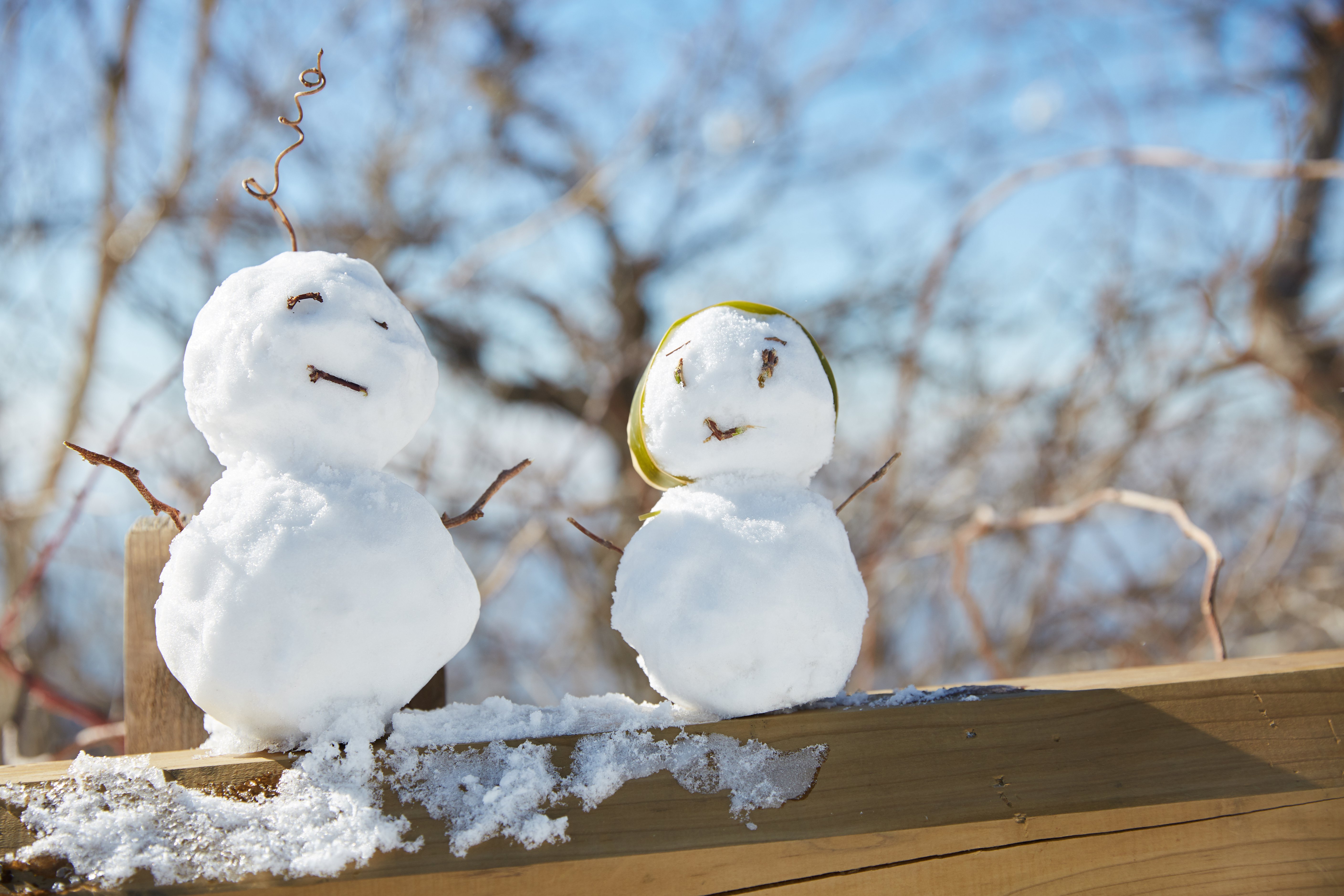 冬至，暖“杨”相伴 | J9集团人全力共同各墓园冬至落葬