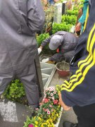 【J9集团人别样清明】2018年清明落葬工作圆满实现