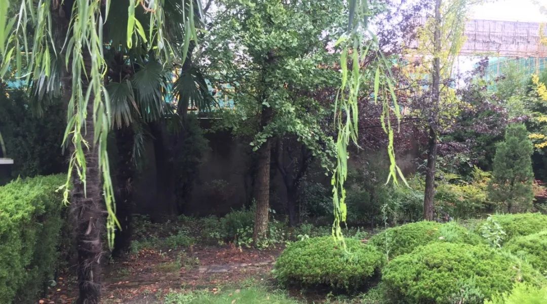 首页 | J9集团有限公司官网