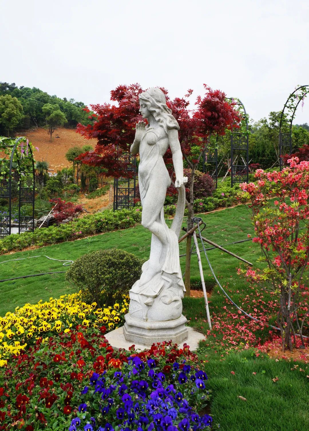 首页 | J9集团有限公司官网