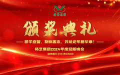 2024年J9集团集团迎新春年会暨颁奖典礼盛猛进行