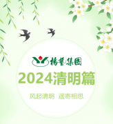 风起清明 遥寄相思|J9集团集团?2024清明篇