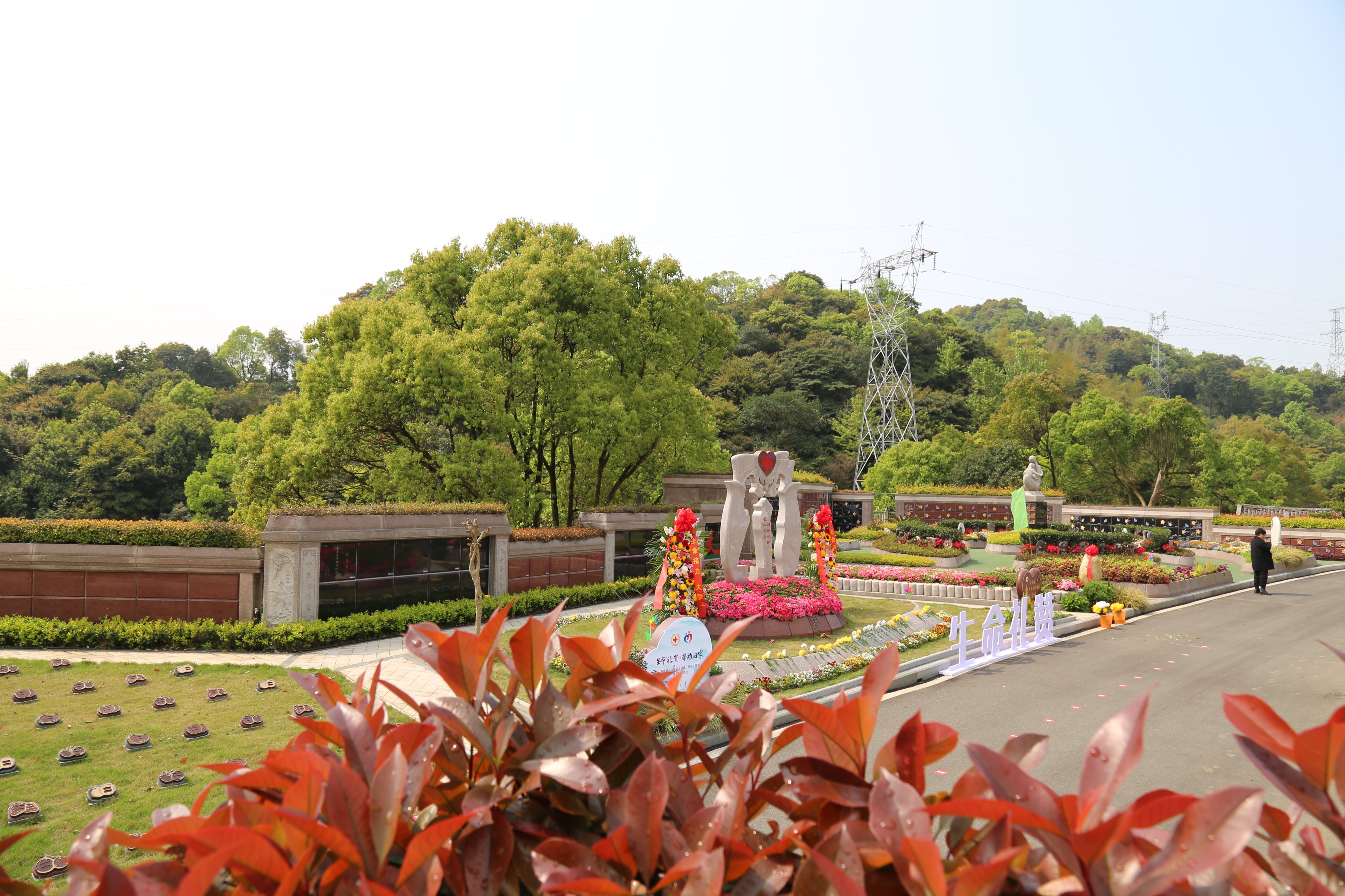 首页 | J9集团有限公司官网