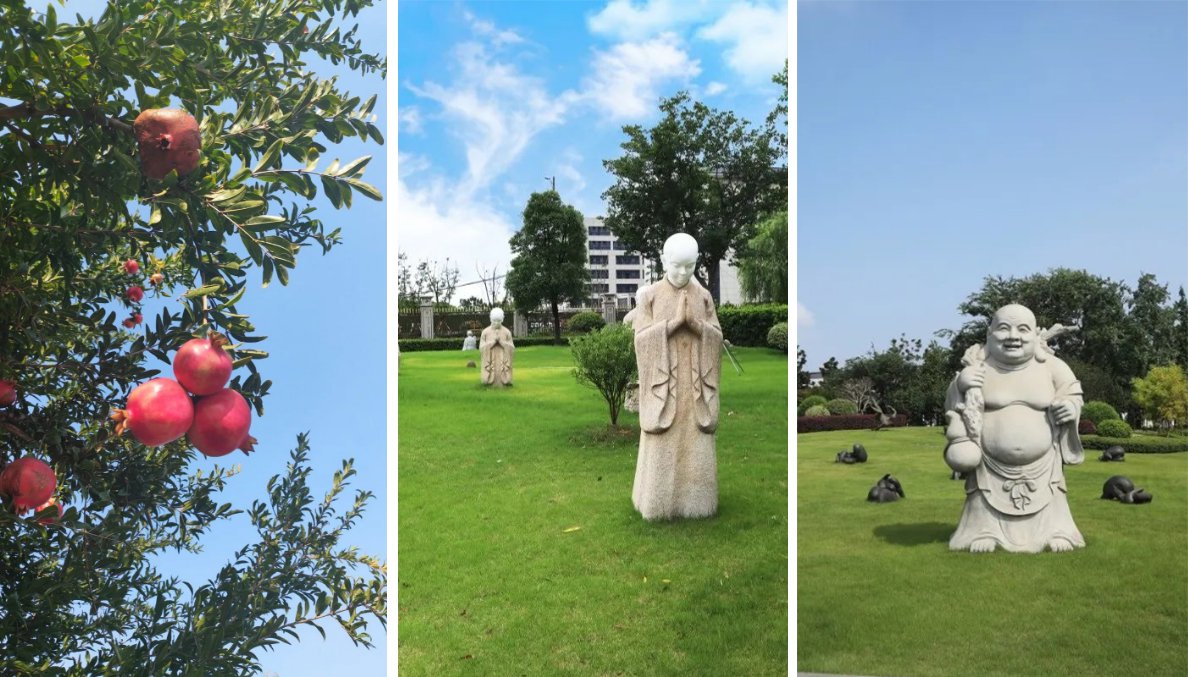 首页 | J9集团有限公司官网