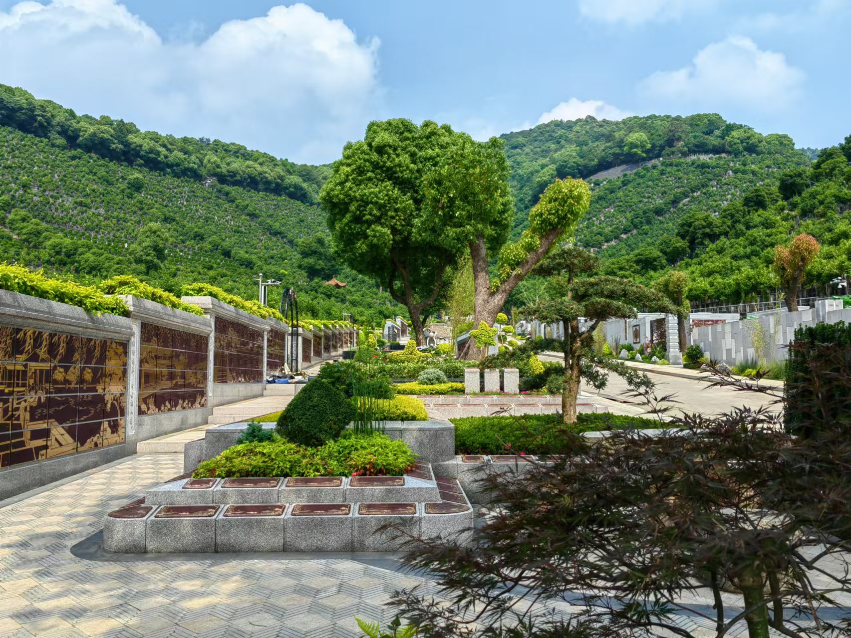 引领绿色生态新风尚，共筑性命和谐家园