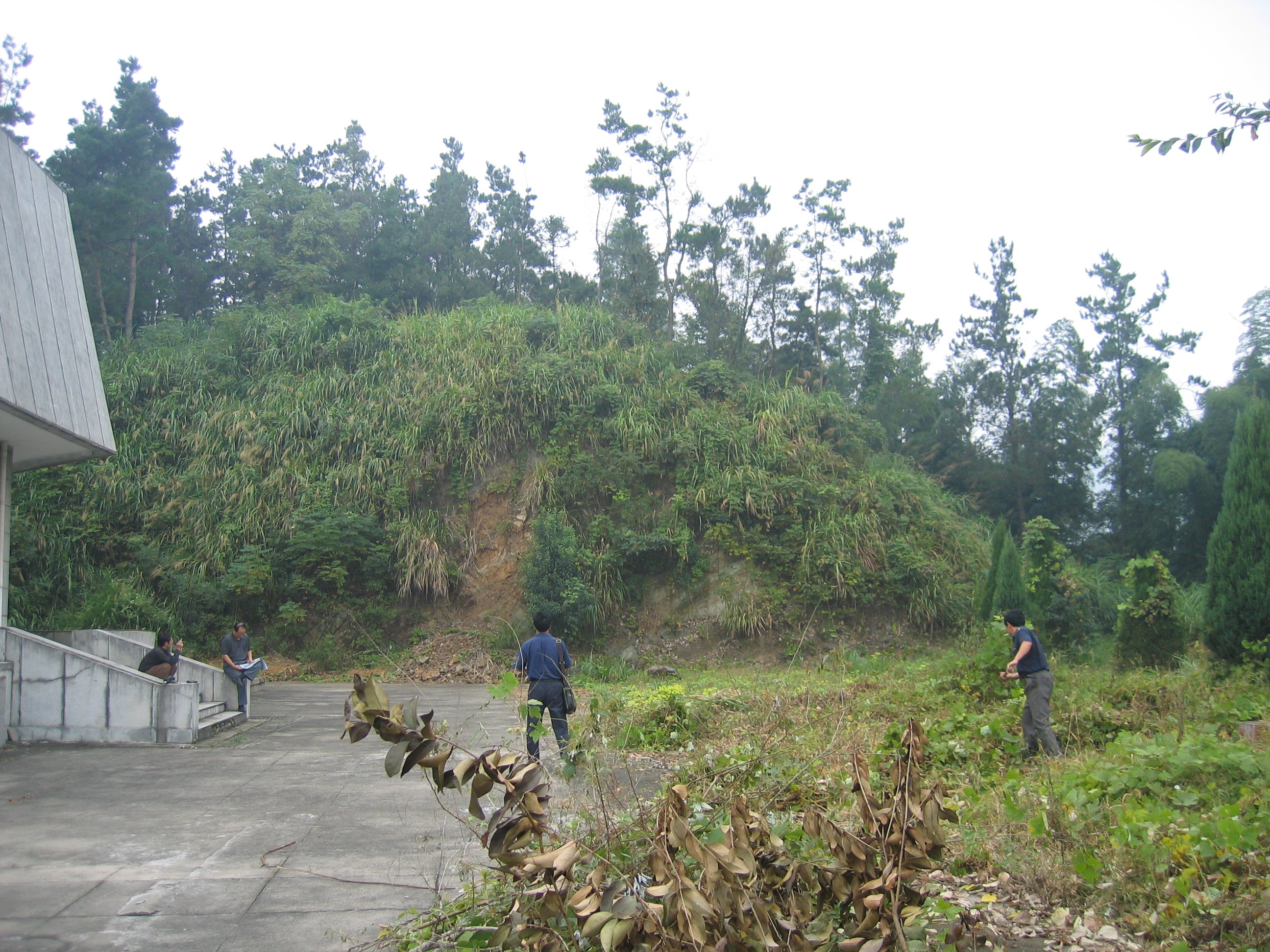 首页 | J9集团有限公司官网