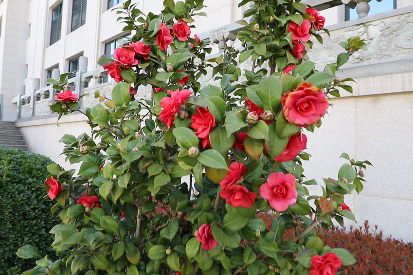 首页 | J9集团有限公司官网