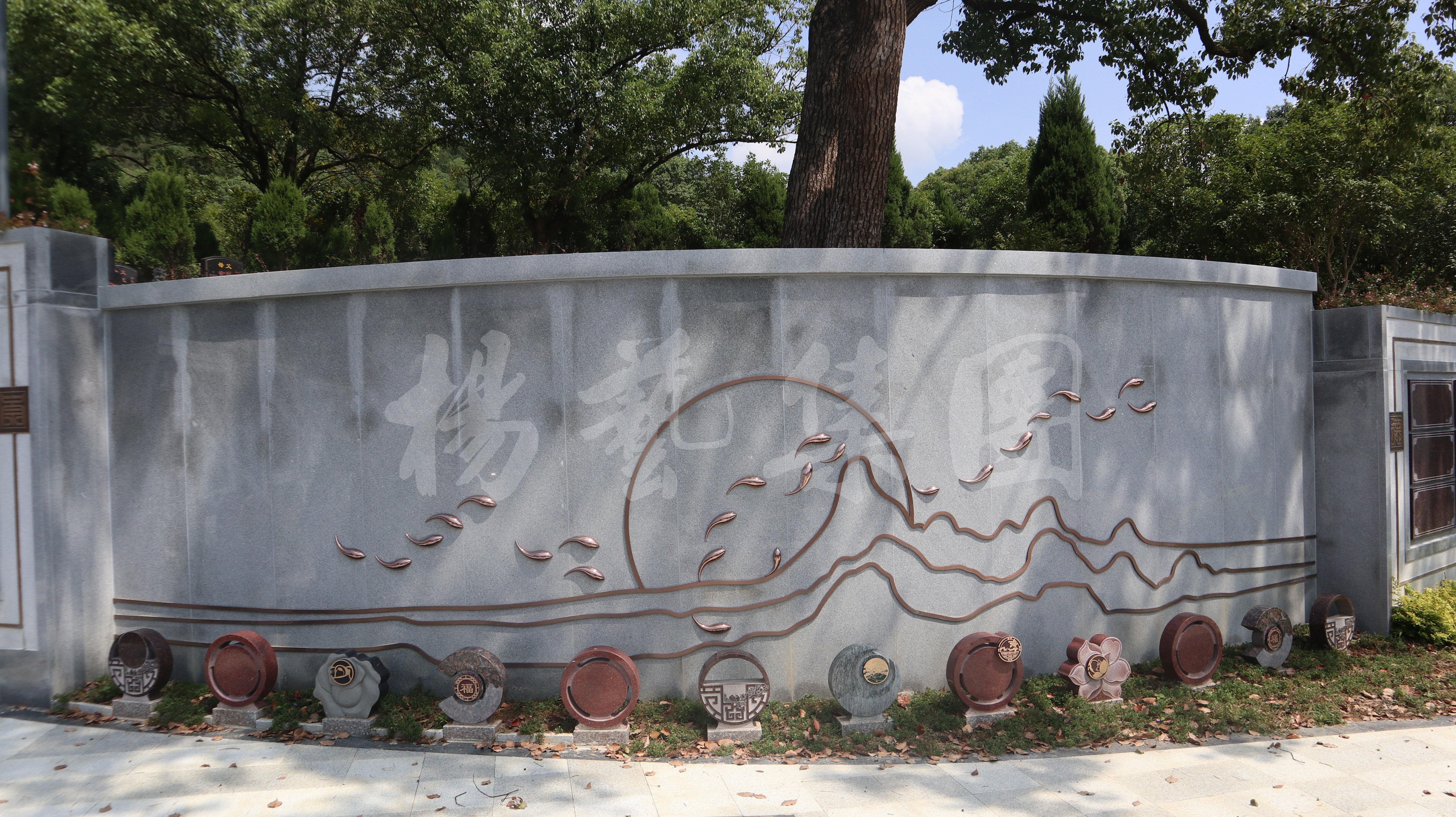 首页 | J9集团有限公司官网