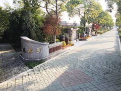 城市最后一平米：生态葬，是与天然的和解？还是无奈的选择？