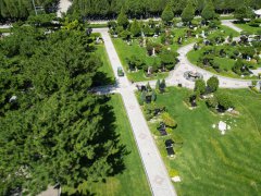 碑雕设计：镌刻汗青，传承人文