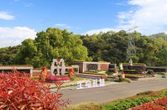 城市角落的星河：当墓园成为性命的另一种花圃