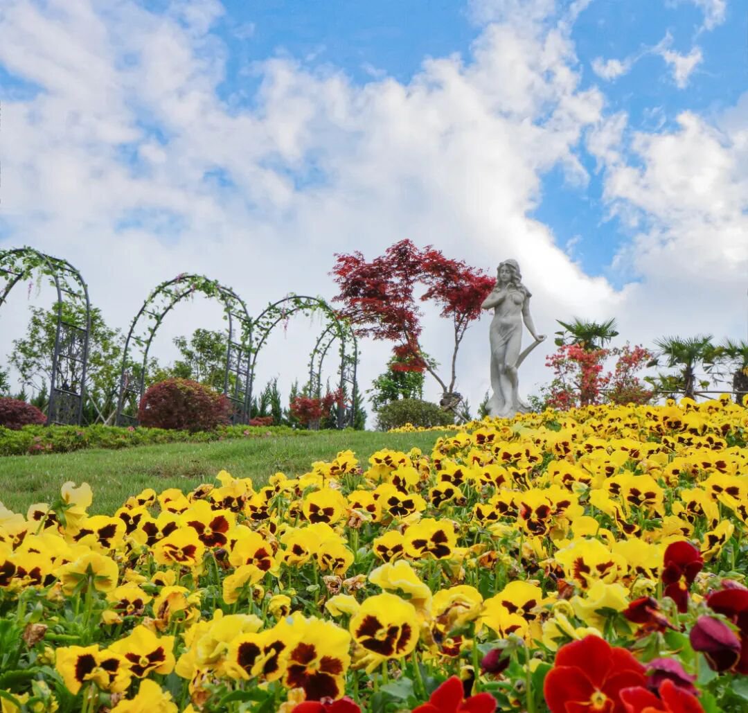 首页 | J9集团有限公司官网
